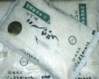 上川米こしひかり