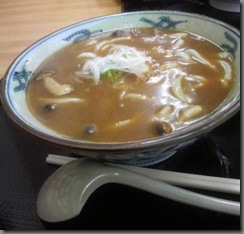 20100328udon