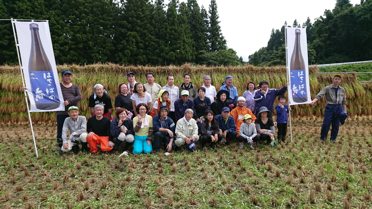 稲刈り・収穫感謝祭