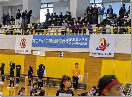 PXL_20241116_231759257.MP