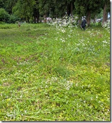 PXL_20250628_201238938.MP~2
