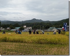 PXL_20250913_045406544.MP